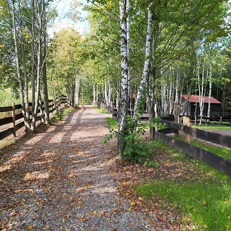 Дом отдыха Narie 3 *