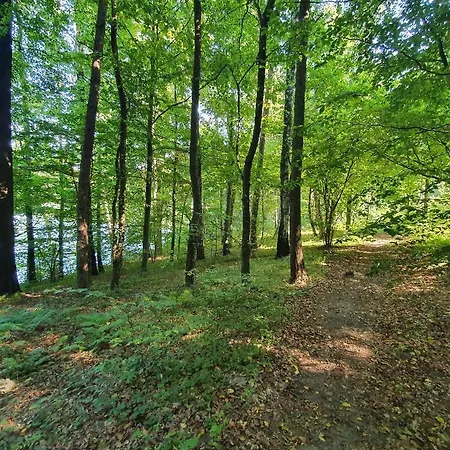 Narie 3 Дом отдыха Bogaczewo (Ostroda)